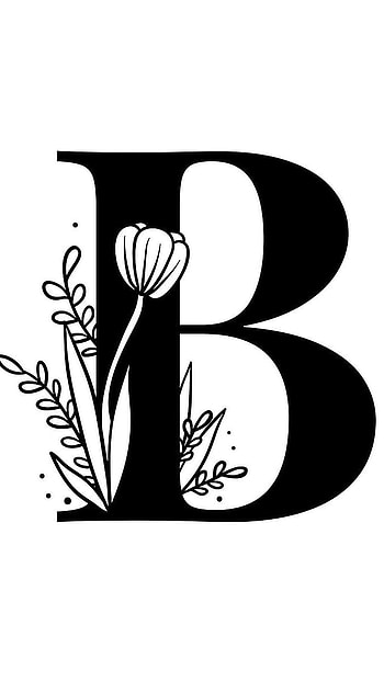B Letter, Beautiful Art HD phone wallpaper