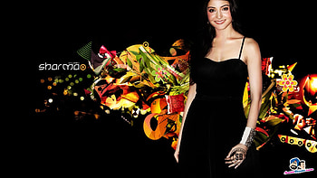 anushka, cc, dd, bb, aa HD wallpaper