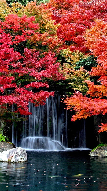 Beautiful For, Waterfall HD phone wallpaper