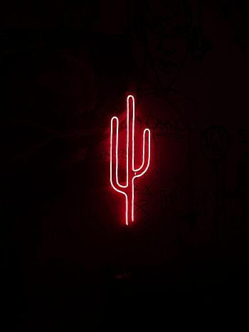 Dark, Shine, Light, Neon, Darkness, Cactus HD phone wallpaper