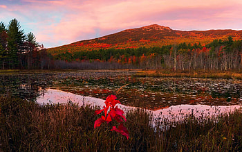 The second most climbed mountain in the world - Monadnock, New Hampshire, river, leaves, fall, colors, landscape, autumn, trees, usa, sunset HD wallpaper