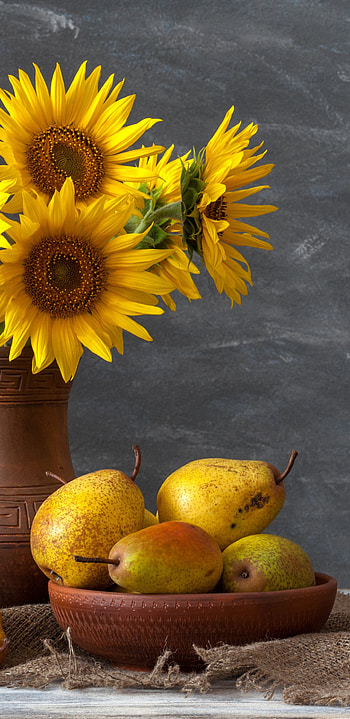 Still life graphy, Captivating composition, Artistic perspective, Visual storytelling HD phone wallpaper