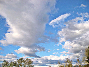 clouds, trees, sky, big HD wallpaper