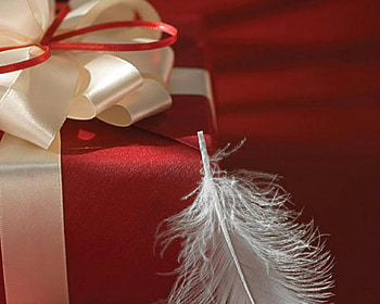 Feather and Gift, feather, gift, ribbon, red HD wallpaper