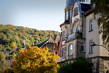 Cities, Autumn, Architecture, Building, Forest, Heidelberg, Germany HD wallpaper