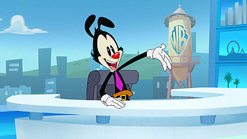 Animaniacs, Iconic animated characters, New York Times interview, Star-studded cast HD wallpaper