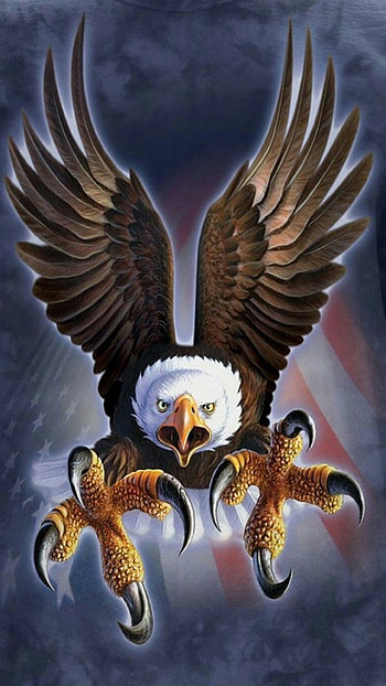 Catch me, attack, bird, eagle HD phone wallpaper