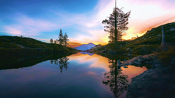Beautiful reflections of Mt Shasta, Shasta Trinity National Forest, California, california, colors, trees, water, sunset, usa, mountain HD wallpaper