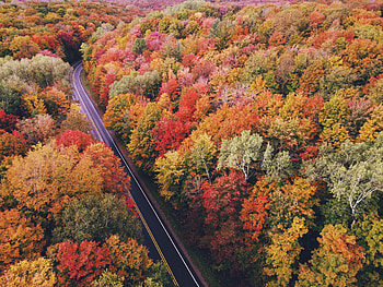 Nature, Trees, Autumn, View From Above, Road HD wallpaper