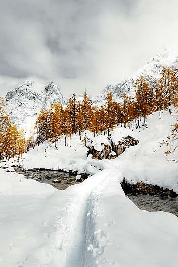 Winter, Nature, Trees, Mountains, Snow, Path, Creek, Brook HD phone wallpaper