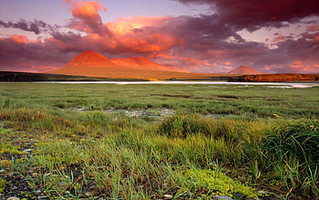 Nature, Sunset, Grass, Sky, Shine, Light HD wallpaper