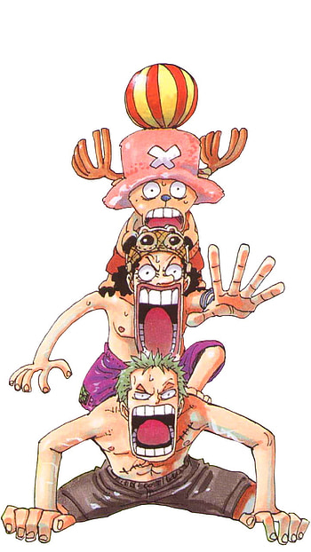 Zoro, Anime, Ussop, One Piece, Chopper, Manga HD phone wallpaper