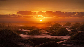 Silhouette Background Nature Scenery Sunrise Nature HD wallpaper