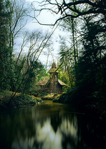 Nature, Rivers, Trees, Forest, Branches, Small House, Lodge HD phone wallpaper
