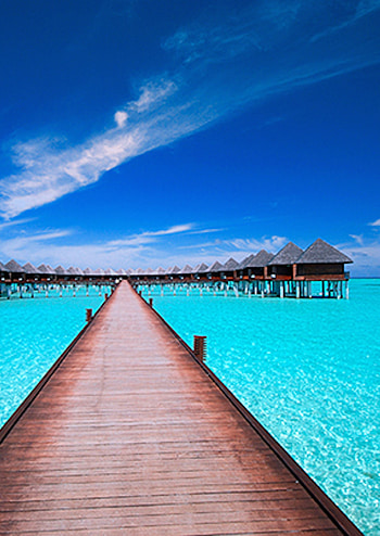 Fiji, Bungalows HD phone wallpaper