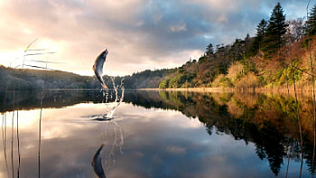 Bass Fishing . HD wallpaper