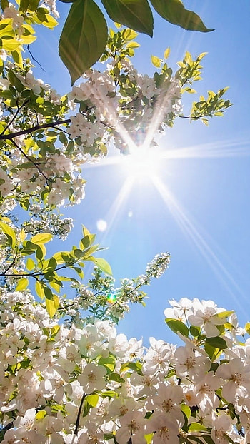 May, Sky Background HD phone wallpaper