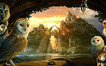 Animals, Birds, Owl HD wallpaper