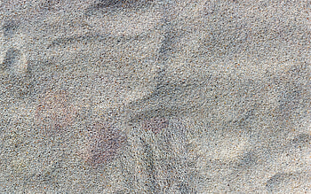 white sand texture, sand background, natural texture, sand texture, white sand background HD wallpaper
