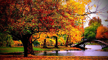 Autumn bridge, Lake, Autumn, Bridge, Trees HD wallpaper