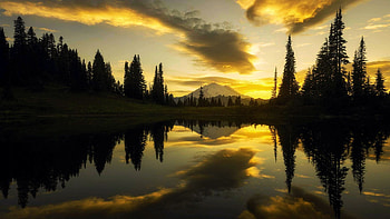 Breathtaking sunset and reflection of Mount Rainier, Washington, clouds, trees, sky, water, lake, reflections, usa, mountain HD wallpaper