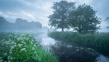 Misty River Meadow — Nature, Mist, River, Nature, Grass, Cloud HD wallpaper