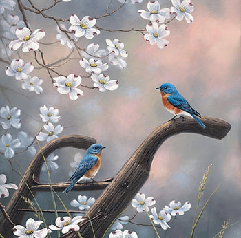 Welcome home, blue, white, art, abraham hunter, bird, spring, painting, pictura, flower, pasari HD wallpaper