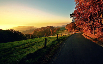 Road, Nature, Autumn, Turn, Movement, Traffic HD wallpaper