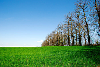 Landscape, farm, sunny day, trees HD wallpaper