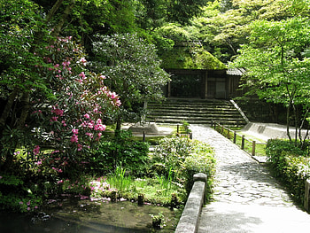 Nature, Building, Vegetation, Construction, Steps, Pond, Track, Education, Enlightenment HD wallpaper