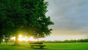 Landscape, Nature HD wallpaper