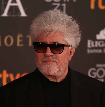 Pedro Almodvar, Pedro Almodvar at BAFTA, Talk event, Behind the scenes HD phone wallpaper