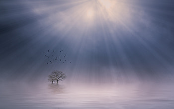 Mist Sunrise, nature, sunrise HD wallpaper