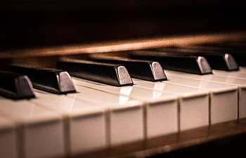Music, Piano, Macro, Keys, Grand Piano HD wallpaper
