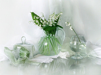 Still Life, white, lily of the valley, green, fresh, harmony HD wallpaper