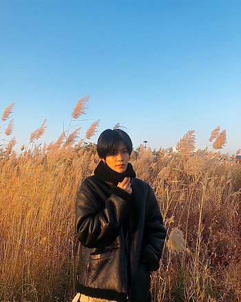 Yuta, nakamotoyuta, nct127, nct HD phone wallpaper