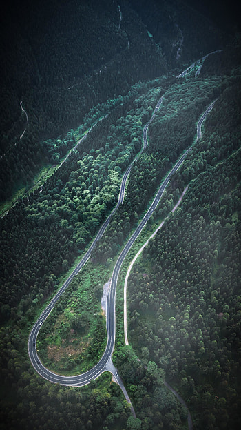 Aerial view, turns of road, green forest HD phone wallpaper