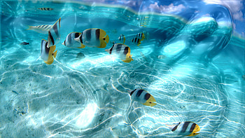 Watery 3D HD wallpaper