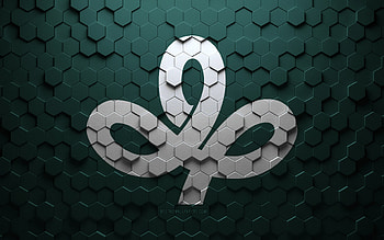 Flag of Miyagi, honeycomb art, Miyagi hexagons flag, Miyagi, 3d hexagons art, Miyagi flag HD wallpaper