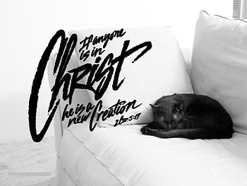 NEW CREATION, quote, cat for christ HD wallpaper