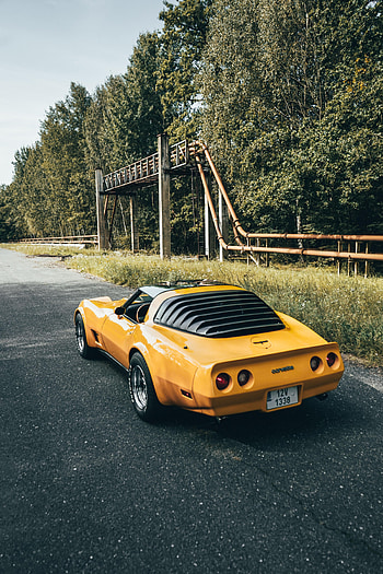 Sports, Cars, Car, Sports Car, Back View, Rear View, Corvette HD phone wallpaper