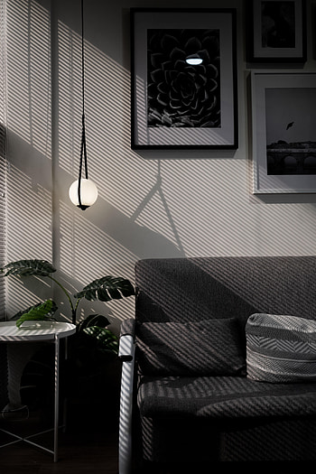 Interior, Miscellanea, Miscellaneous, Table, Room, Sofa, Monstera HD phone wallpaper