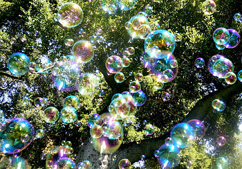 Plants, Trees, Background, Bubbles HD wallpaper