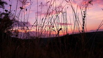 Pink Sky Nature, pink, sky, nature HD wallpaper