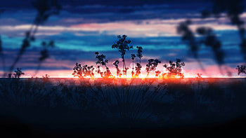 Sunset Landscape with Dramatic Clouds, landscape, sunset, cloud, digital HD wallpaper