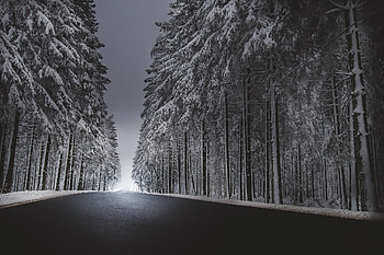 Winter Road Asphalt Snow, road, winter, snow HD wallpaper