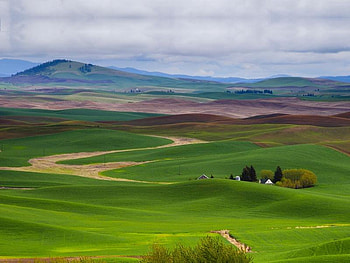 Opened Field, sky, field, house, mountain HD wallpaper
