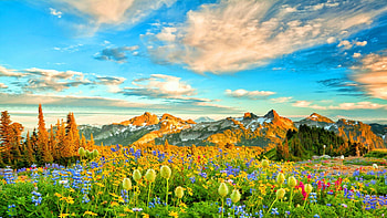 Flowers in spring, blossoms, clouds, landscape, sky, mountains HD wallpaper