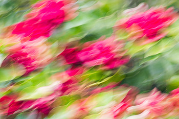 Abstract, Blur, Smooth, Turbid HD wallpaper