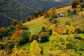 Fall, la stana, rece, toamna, vine HD wallpaper
